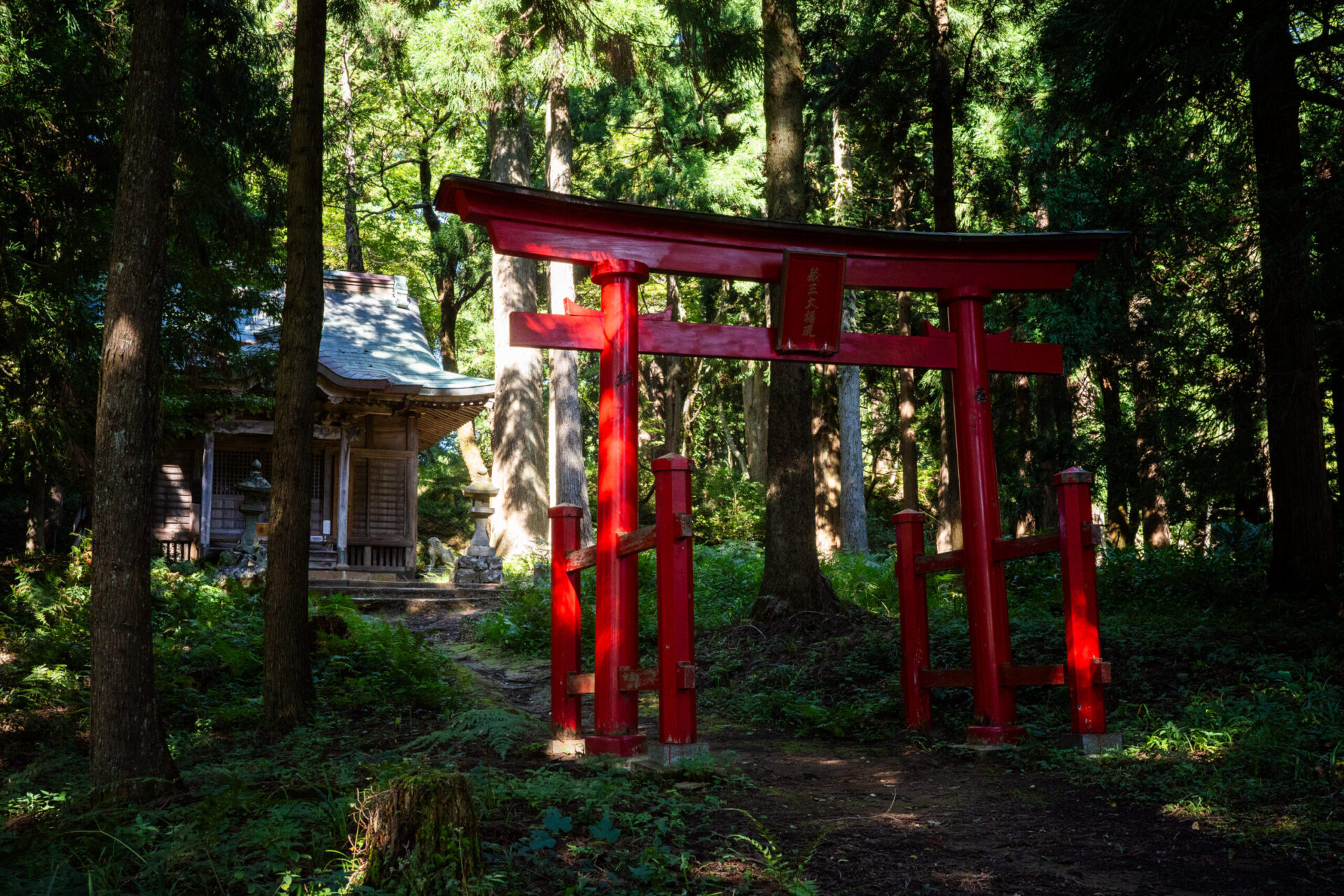 蔵王山（吉野ヶ岳）