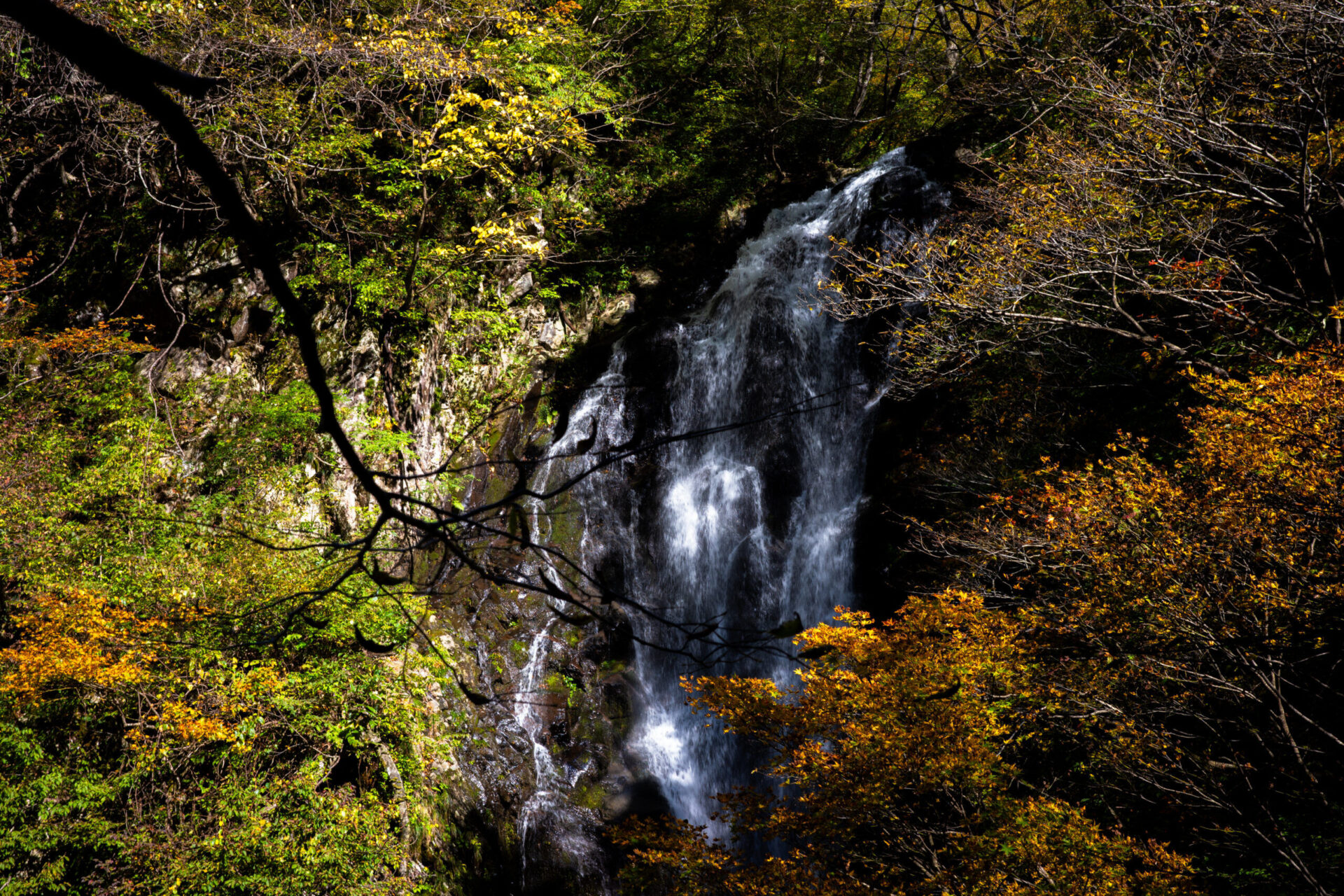 取立山