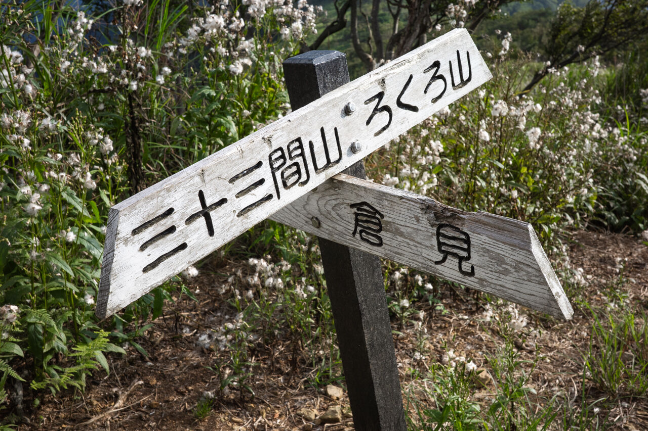分岐標識と自然風景