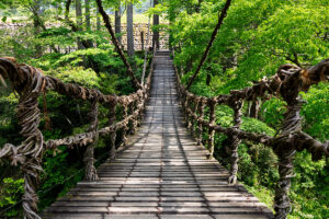 福井県池田町のかずら橋