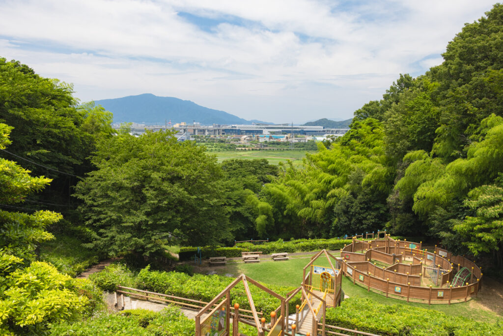 展望台からの景色