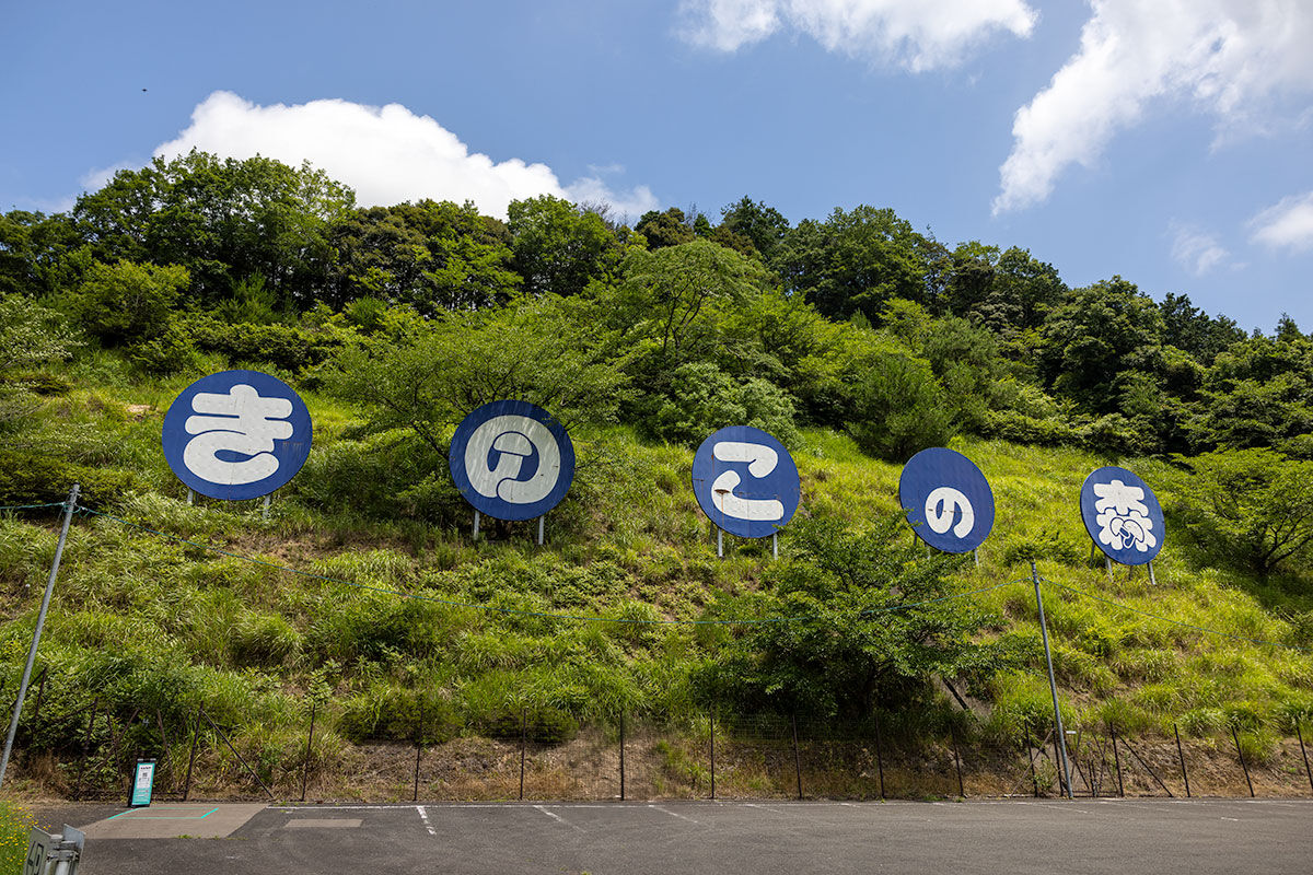 スライダー画像