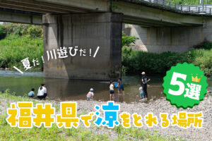 【2025年 夏休み】 夏だ！川遊びだ！　福井県で涼をとれる場所5選！！