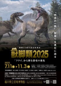 獣脚類2025「フクイ」から探る恐竜の進化