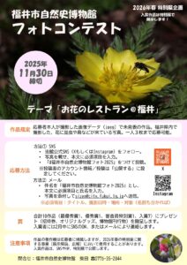 福井市自然史博物館フォトコンテスト