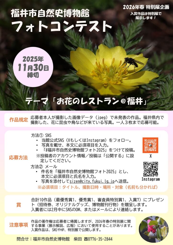 福井市自然史博物館フォトコンテスト